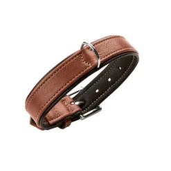 Outlet Hundehalsbånd læder Canada Elg Str.40 Cognac/Sort - 29-35 cm Hvalpehalsbånd - Bløde Og Sikre Halsbånd Med Perfekt Pasform Til Din Hvalp|Hundehalsbånd Med Stil - Komfort Og Sikkerhed Til Din Hund