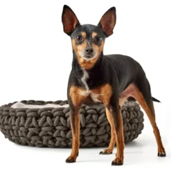 Sale hundekurv Linz antracitgrå Ø 50 cm Hundesenge Og Kurve Til Hunde - Bløde Og Komfortable|Sovepladser Til Hvalpe - Hundesenge, Kølemåtter Og Trygge Hvilesteder