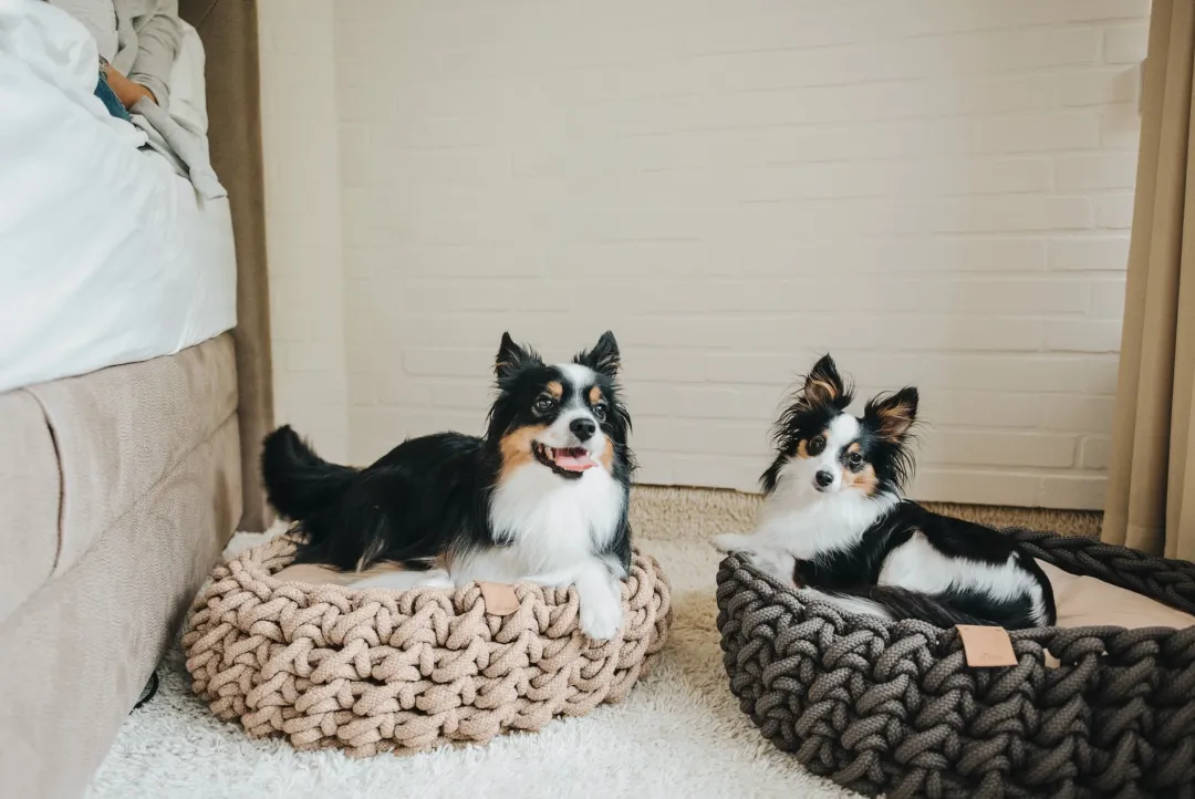 Sale hundekurv Linz antracitgrå Ø 50 cm Hundesenge Og Kurve Til Hunde - Bløde Og Komfortable|Sovepladser Til Hvalpe - Hundesenge, Kølemåtter Og Trygge Hvilesteder