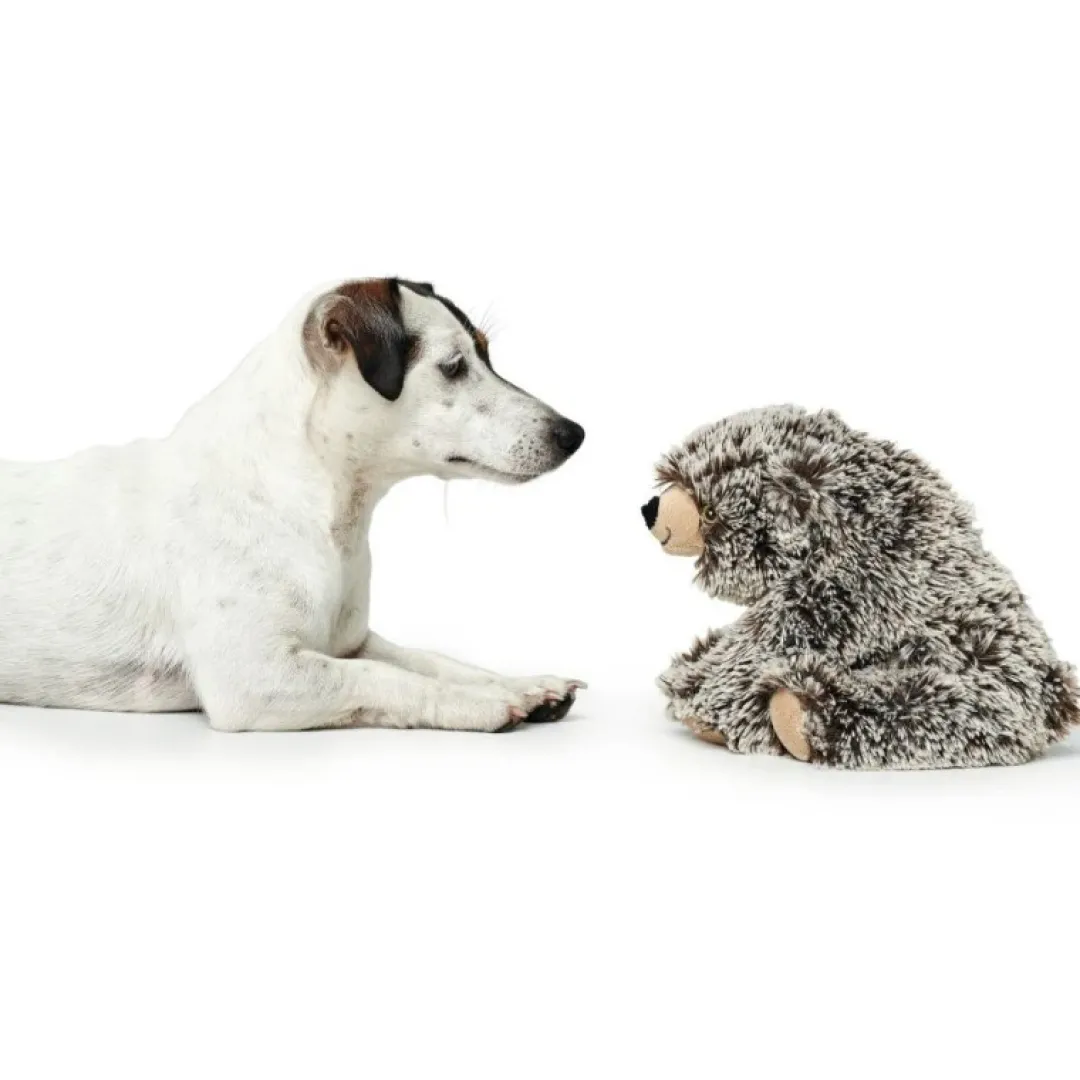 New Hundelegetøj Bjørn - bamse til hunde Hundelegetøj Til Alle Hunde Leg Og Aktivering Året Rundt|Legetøj Til Hvalpe - Sjov Leg, Aktivering Og Tryghed Fra Første Dag