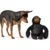 Clearance Hundelegetøj Kamerun Gorilla - bamse til mellemstore og store hunde Hundelegetøj Til Alle Hunde Leg Og Aktivering Året Rundt|Legetøj Til Hvalpe - Sjov Leg, Aktivering Og Tryghed Fra Første Dag