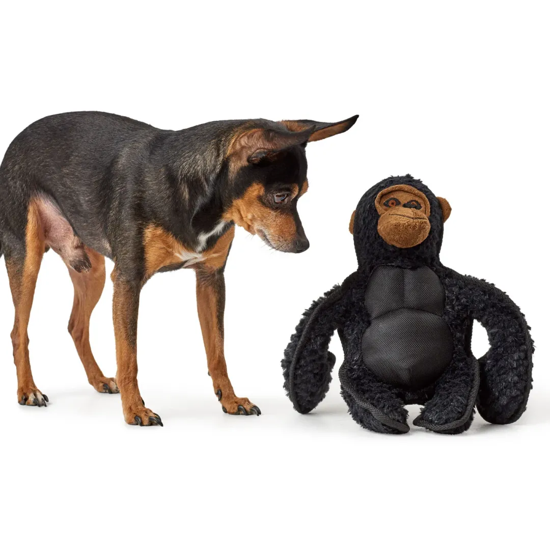 Clearance Hundelegetøj Kamerun Gorilla - bamse til mellemstore og store hunde Hundelegetøj Til Alle Hunde Leg Og Aktivering Året Rundt|Legetøj Til Hvalpe - Sjov Leg, Aktivering Og Tryghed Fra Første Dag