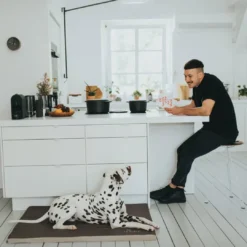 Hot hundemadras Blackpool Small Sort Hundesenge Og Kurve Til Hunde - Bløde Og Komfortable|Sovepladser Til Hvalpe - Hundesenge, Kølemåtter Og Trygge Hvilesteder