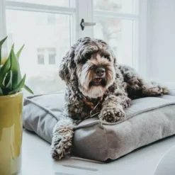 New hundepude Merida Large 100 x 70 cm Grå Hundesenge Og Kurve Til Hunde - Bløde Og Komfortable|Sovepladser Til Hvalpe - Hundesenge, Kølemåtter Og Trygge Hvilesteder