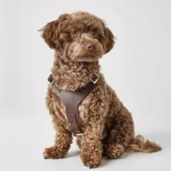 Discount Hundesele Aalborg mørkebrun S-M/2 - Bryst/hals 51-64 cm Hvalpeseler - Bløde Justerbare Seler Der Giver Din Hvalp Tryghed Og Støtte På Turen|Hundeseler Til Alle Behov Og Hundestørrelser