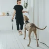 Clearance Hundesele Aalborg Sort XS - 38-52 cm bryst/hals Hvalpeseler - Bløde Justerbare Seler Der Giver Din Hvalp Tryghed Og Støtte På Turen|Hundeseler Til Alle Behov Og Hundestørrelser
