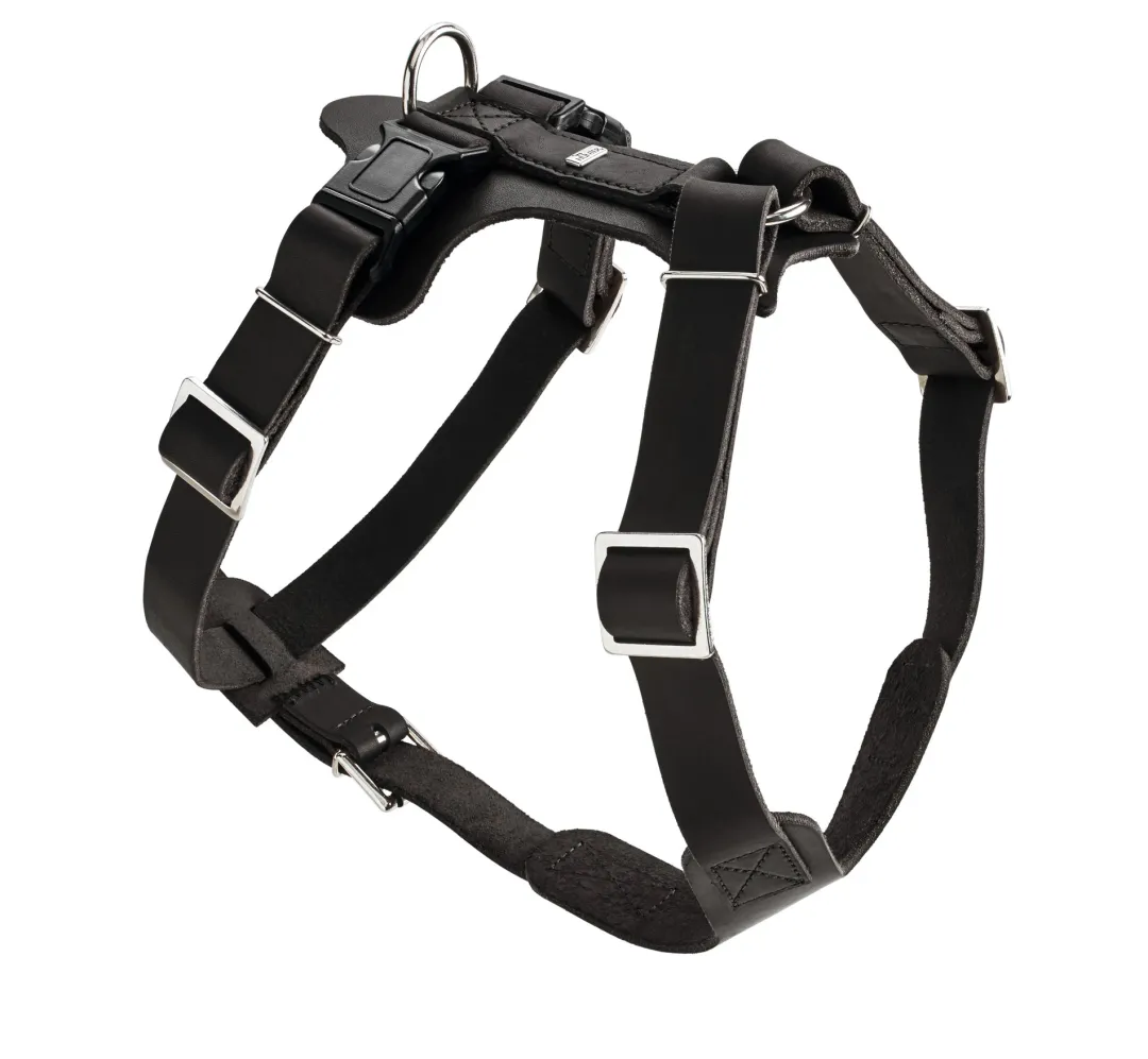 Clearance Hundesele Aalborg Sort XS - 38-52 cm bryst/hals Hvalpeseler - Bløde Justerbare Seler Der Giver Din Hvalp Tryghed Og Støtte På Turen|Hundeseler Til Alle Behov Og Hundestørrelser