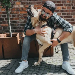 Hot Hundesele Aalborg Sort S-M/1 - 44-56 cm bryst/hals Hvalpeseler - Bløde Justerbare Seler Der Giver Din Hvalp Tryghed Og Støtte På Turen|Hundeseler Til Alle Behov Og Hundestørrelser