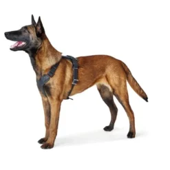 Hundesele Aalborg Sort M-L/1 - 58-80 cm bryst/hals Hvalpeseler - Bløde Justerbare Seler Der Giver Din Hvalp Tryghed Og Støtte På Turen|Hundeseler Til Alle Behov Og Hundestørrelser