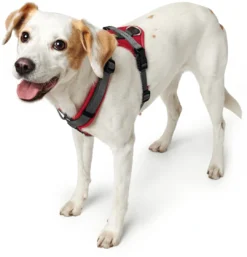 Best hundesele Maldon Rød og Grå L længde 66-118 cm 2,5 cm - stærk og komfortabel pasform Hundeseler Til Alle Behov Og Hundestørrelser