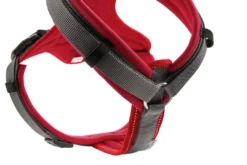 Best hundesele Maldon Rød og Grå L længde 66-118 cm 2,5 cm - stærk og komfortabel pasform Hundeseler Til Alle Behov Og Hundestørrelser