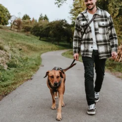 hundesele Safety Maldon Gråsort L længde 66-118 cm 2,5 cm - sikker stabilitet Hundeseler Til Alle Behov Og Hundestørrelser