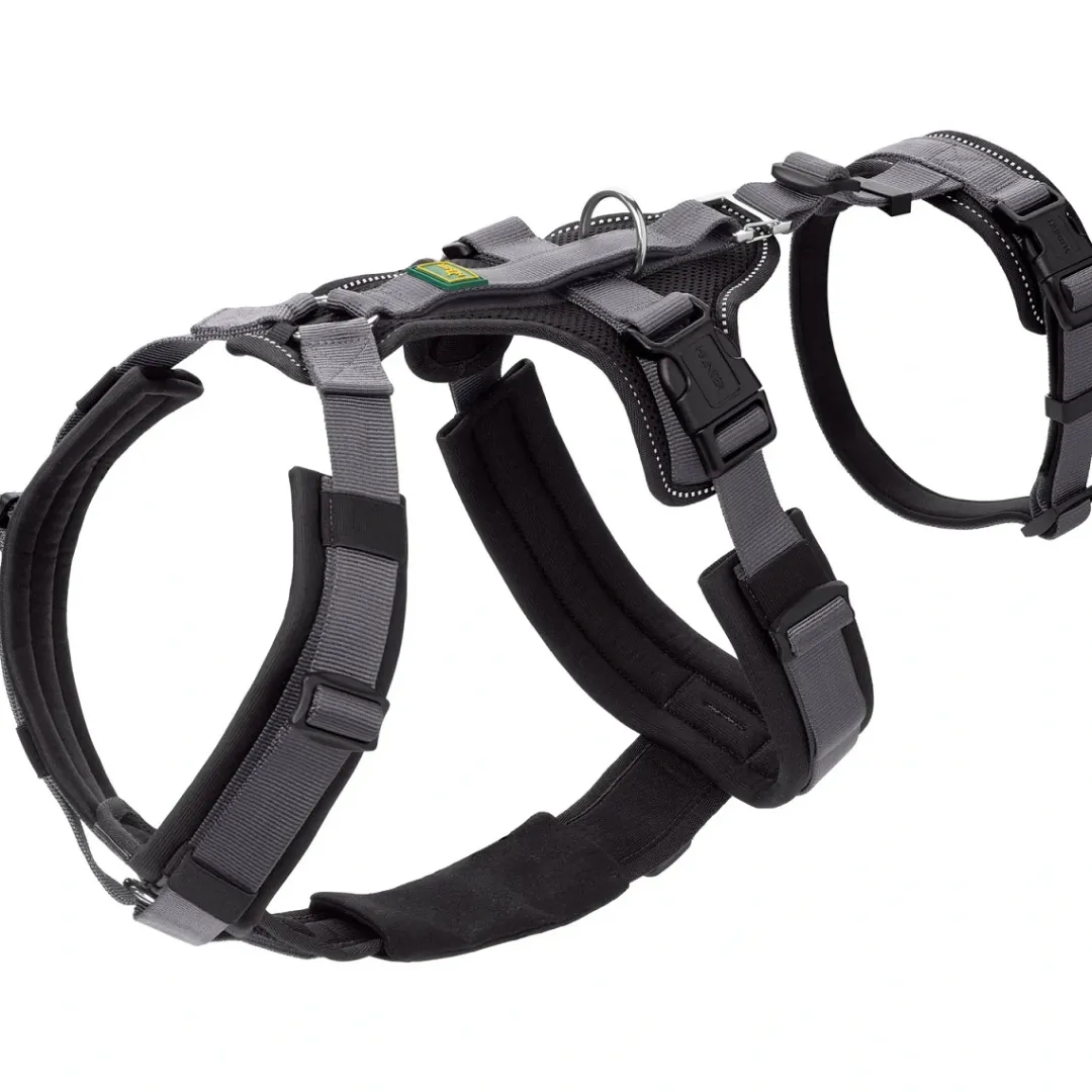 Best hundesele Safety Maldon Gråsort S-M længde 46-82 cm 2,0 cm - sikker pasform Hundeseler Til Alle Behov Og Hundestørrelser