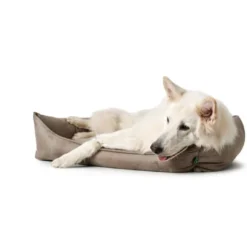 Outlet hundeseng Bologna Small 50 x 35 cm i stone Hundesenge Og Kurve Til Hunde - Bløde Og Komfortable|Sovepladser Til Hvalpe - Hundesenge, Kølemåtter Og Trygge Hvilesteder