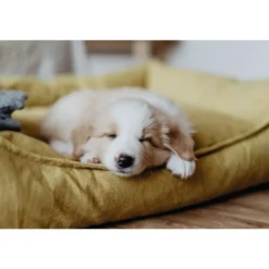 Online hundeseng Eiby Stor 100x70 cm Gul Hundesenge Og Kurve Til Hunde - Bløde Og Komfortable|Sovepladser Til Hvalpe - Hundesenge, Kølemåtter Og Trygge Hvilesteder