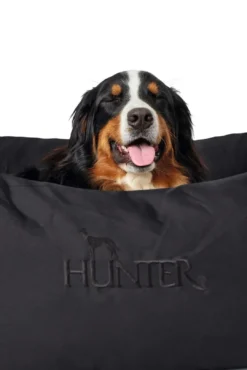 Best hundeseng Gent antibakteriel Medium 80x60 cm Sort Hundesenge Og Kurve Til Hunde - Bløde Og Komfortable|Sovepladser Til Hvalpe - Hundesenge, Kølemåtter Og Trygge Hvilesteder