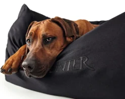 Best hundeseng Gent antibakteriel Medium 80x60 cm Sort Hundesenge Og Kurve Til Hunde - Bløde Og Komfortable|Sovepladser Til Hvalpe - Hundesenge, Kølemåtter Og Trygge Hvilesteder