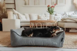 Online hundeseng Ortho Merida M 70x50 cm Antracit Hundesenge Og Kurve Til Hunde - Bløde Og Komfortable|Sovepladser Til Hvalpe - Hundesenge, Kølemåtter Og Trygge Hvilesteder