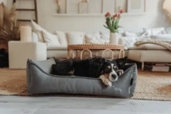 Online hundeseng Ortho Merida M 70x50 cm Antracit Hundesenge Og Kurve Til Hunde - Bløde Og Komfortable|Sovepladser Til Hvalpe - Hundesenge, Kølemåtter Og Trygge Hvilesteder