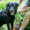 Best Hundesnor Hilo Lime 25/200 Hundesnor I Mange Varianter Og Materialer|Hundesnor Til Hvalpe