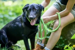 Best Hundesnor Hilo Lime 25/200 Hundesnor I Mange Varianter Og Materialer|Hundesnor Til Hvalpe