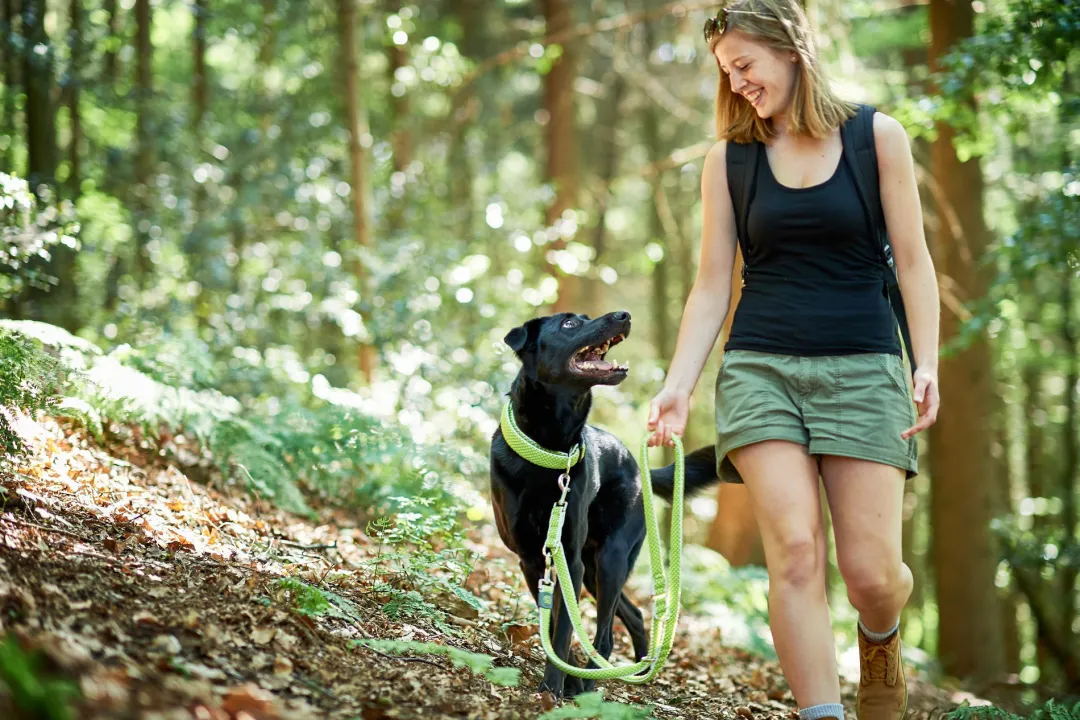 Best Hundesnor Hilo Lime 25/200 Hundesnor I Mange Varianter Og Materialer|Hundesnor Til Hvalpe