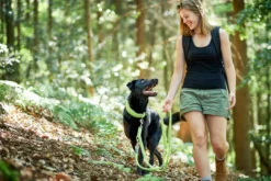 Hot Hundesnor Hilo Lime 20/200 Hundesnor I Mange Varianter Og Materialer|Hundesnor Til Hvalpe