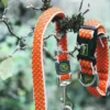 Outlet Hundesnor Hilo Orange 20/200 Hundesnor I Mange Varianter Og Materialer|Hundesnor Til Hvalpe