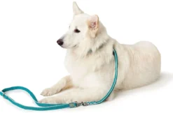 Discount Hundesnor Hilo turkis 20/200 Hundesnor I Mange Varianter Og Materialer|Hundesnor Til Hvalpe