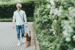 Discount Hundesnor Hilo Turkis 25/200 Hundesnor I Mange Varianter Og Materialer|Hundesnor Til Hvalpe