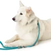 Best Hundesnor Hilo Turkis 15/200 Hundesnor I Mange Varianter Og Materialer|Hundesnor Til Hvalpe