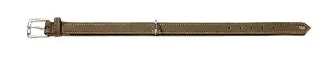 Discount Hunting halsbånd str.60 Oliven - justerbart hundehalsbånd (46 - 52 cm., B 3,5 cm.) Hvalpehalsbånd - Bløde Og Sikre Halsbånd Med Perfekt Pasform Til Din Hvalp|Hundehalsbånd Med Stil - Komfort Og Sikkerhed Til Din Hund