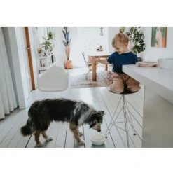 Best keramik Lund hunde skål 900 ml Beige Hundeskåle Til Mad Og Drikke Der Passer Til Din Hunds Behov|Hundeskåle Til Hvalpe - Praktisk, Sikker Og Nem Spisetid