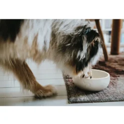 Best keramik Lund hunde skål 900 ml Beige Hundeskåle Til Mad Og Drikke Der Passer Til Din Hunds Behov|Hundeskåle Til Hvalpe - Praktisk, Sikker Og Nem Spisetid