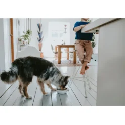 Hot keramik Lund hunde skål 1500 ml Beige Hundeskåle Til Mad Og Drikke Der Passer Til Din Hunds Behov|Hundeskåle Til Hvalpe - Praktisk, Sikker Og Nem Spisetid