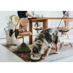 Discount keramik Lund hunde skål 550 ml Beige Hundeskåle Til Mad Og Drikke Der Passer Til Din Hunds Behov|Hundeskåle Til Hvalpe - Praktisk, Sikker Og Nem Spisetid