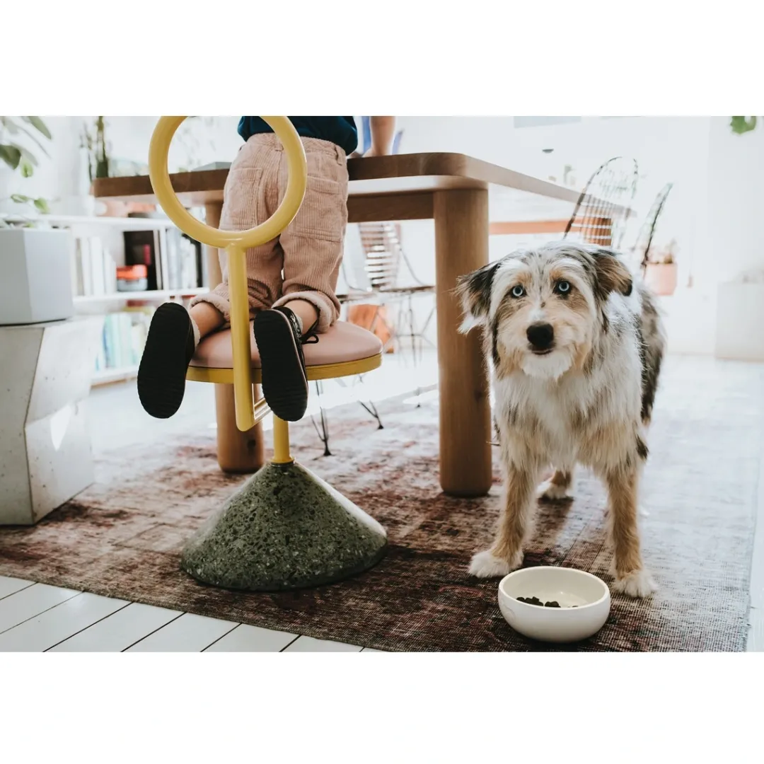 Discount keramik Lund hunde skål 550 ml Beige Hundeskåle Til Mad Og Drikke Der Passer Til Din Hunds Behov|Hundeskåle Til Hvalpe - Praktisk, Sikker Og Nem Spisetid