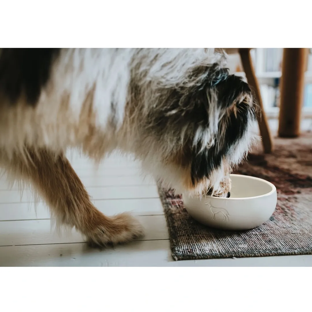 Clearance keramik Lund hunde skål 350 ml Beige Hundeskåle Til Mad Og Drikke Der Passer Til Din Hunds Behov|Hundeskåle Til Hvalpe - Praktisk, Sikker Og Nem Spisetid