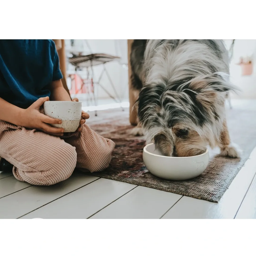 Clearance keramik Lund hunde skål 350 ml Beige Hundeskåle Til Mad Og Drikke Der Passer Til Din Hunds Behov|Hundeskåle Til Hvalpe - Praktisk, Sikker Og Nem Spisetid