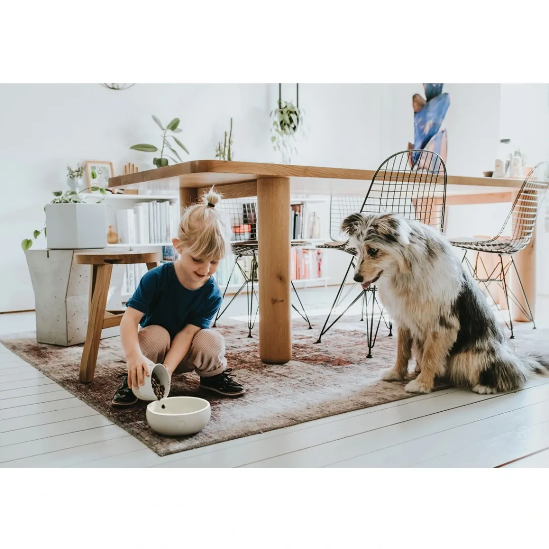 Clearance keramik Lund hunde skål 350 ml Beige Hundeskåle Til Mad Og Drikke Der Passer Til Din Hunds Behov|Hundeskåle Til Hvalpe - Praktisk, Sikker Og Nem Spisetid