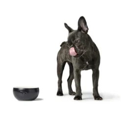 Discount Keramik Lund Hunde Skål 900 ml Sort Hundeskåle Til Mad Og Drikke Der Passer Til Din Hunds Behov|Hundeskåle Til Hvalpe - Praktisk, Sikker Og Nem Spisetid