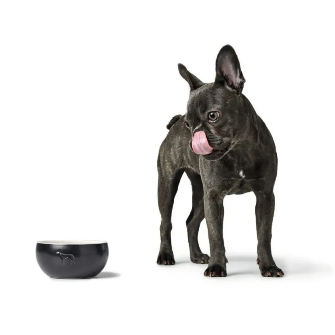 Sale Keramik Lund Hunde Skål 1500 ml Sort Hundeskåle Til Mad Og Drikke Der Passer Til Din Hunds Behov|Hundeskåle Til Hvalpe - Praktisk, Sikker Og Nem Spisetid