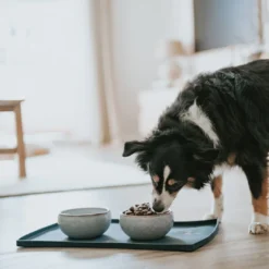 keramikskål Braga 310 ml i blåt støv Hundeskåle Til Mad Og Drikke Der Passer Til Din Hunds Behov