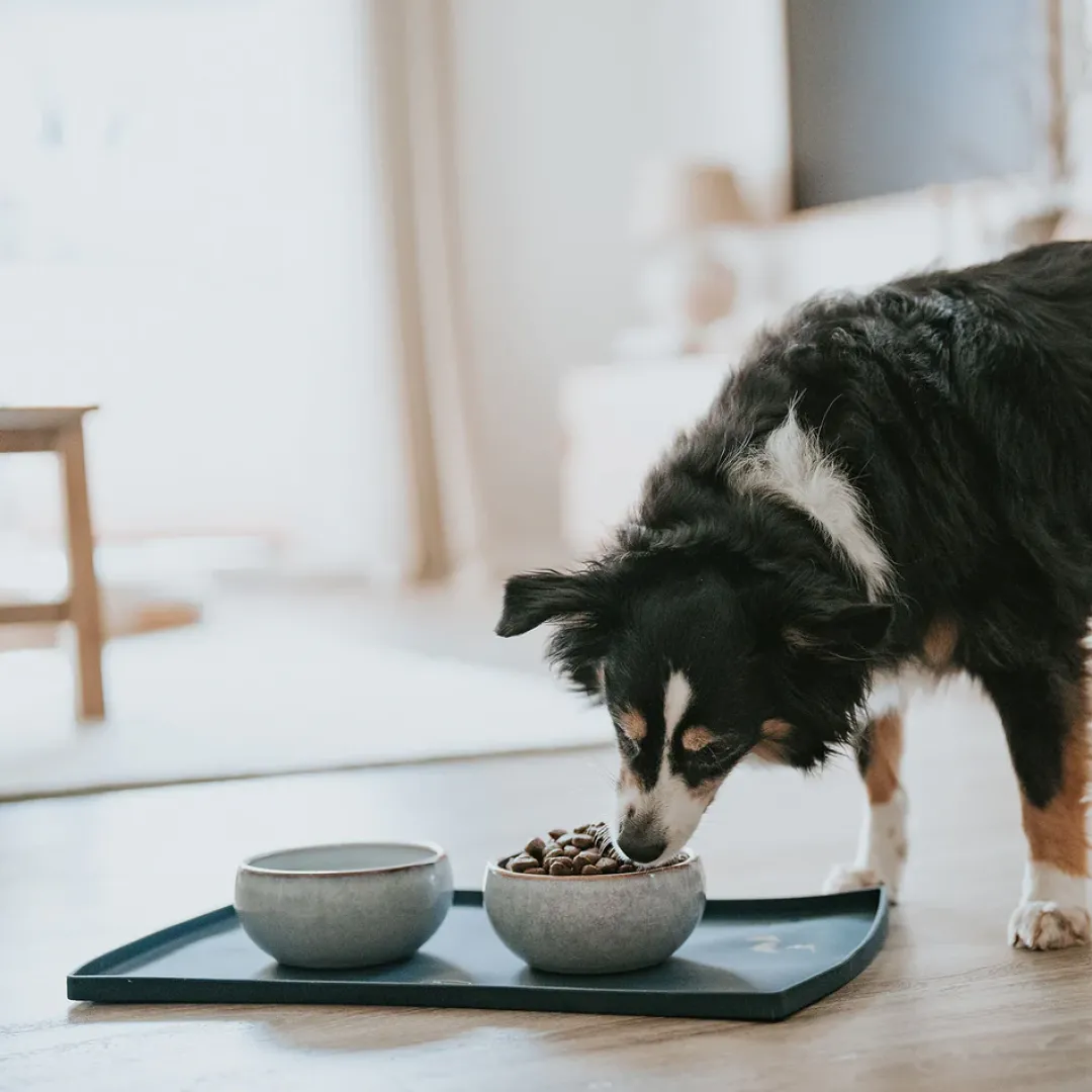 New keramikskål Braga 1500 ml i blåt støv Hundeskåle Til Mad Og Drikke Der Passer Til Din Hunds Behov