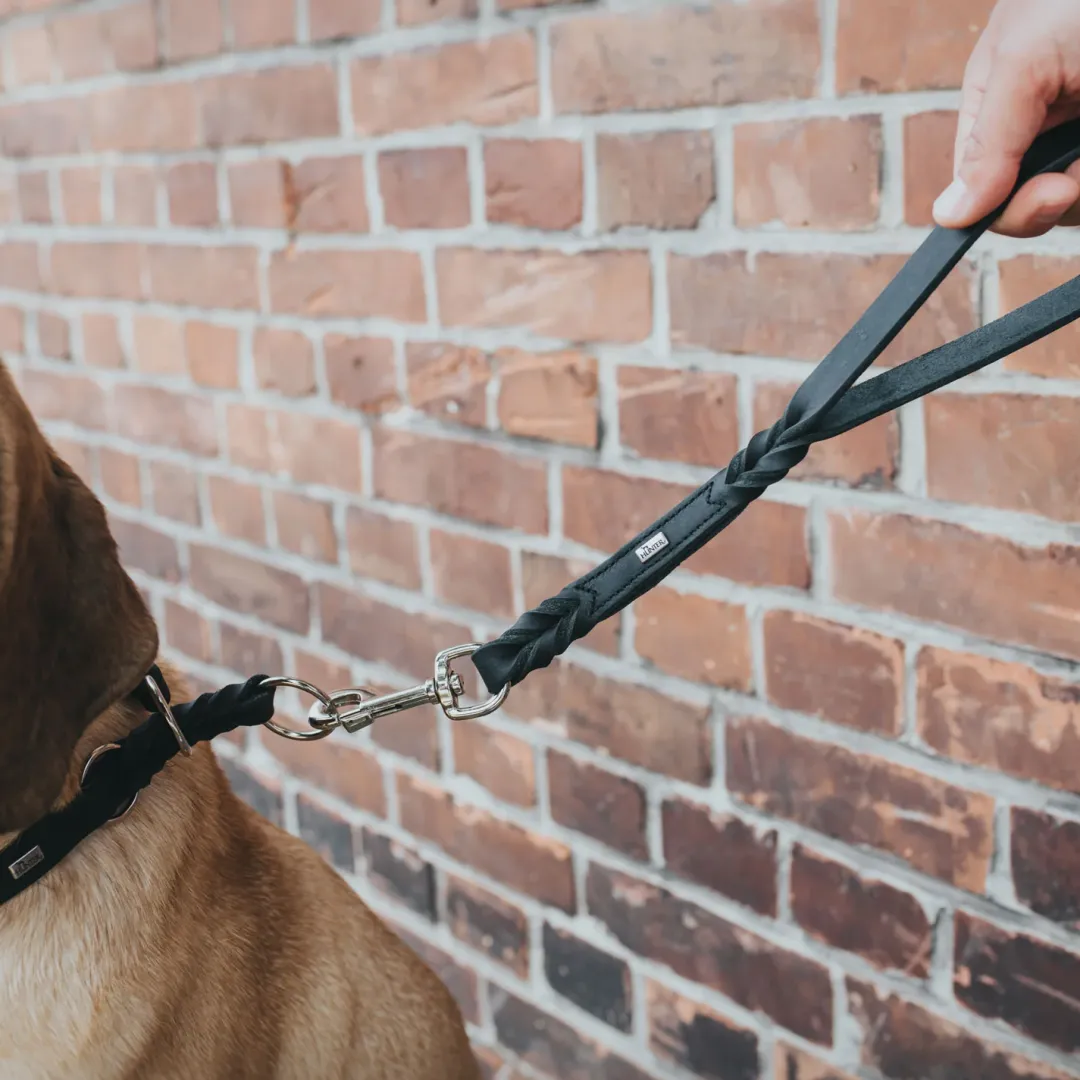 Discount Kort Hundesnor Solid Education sort Hundesnor I Mange Varianter Og Materialer|Hundesnor Til Hvalpe