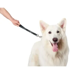 Discount Kort Hundesnor Solid Education sort Hundesnor I Mange Varianter Og Materialer|Hundesnor Til Hvalpe