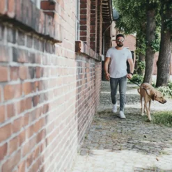 Discount Kort Hundesnor Solid Education sort Hundesnor I Mange Varianter Og Materialer|Hundesnor Til Hvalpe