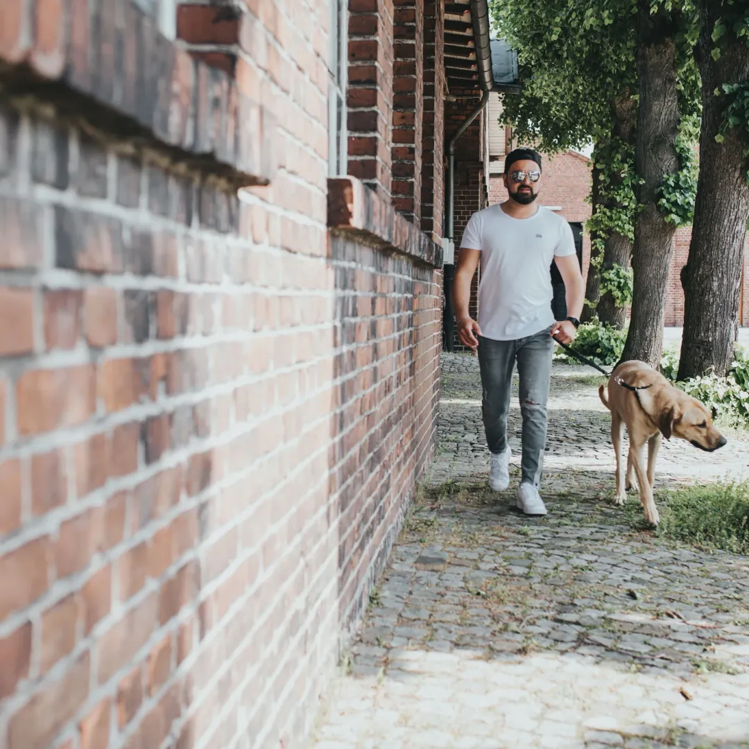 Discount Kort Hundesnor Solid Education sort Hundesnor I Mange Varianter Og Materialer|Hundesnor Til Hvalpe