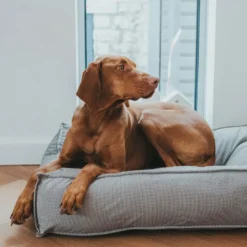 New Lancester hundeseng XLarge 120 x 90 cm Grå Hundesenge Og Kurve Til Hunde - Bløde Og Komfortable|Sovepladser Til Hvalpe - Hundesenge, Kølemåtter Og Trygge Hvilesteder