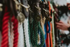 Best List Reb Halsbånd L Blå - 60-68 cm Hvalpehalsbånd - Bløde Og Sikre Halsbånd Med Perfekt Pasform Til Din Hvalp|Hundehalsbånd Med Stil - Komfort Og Sikkerhed Til Din Hund